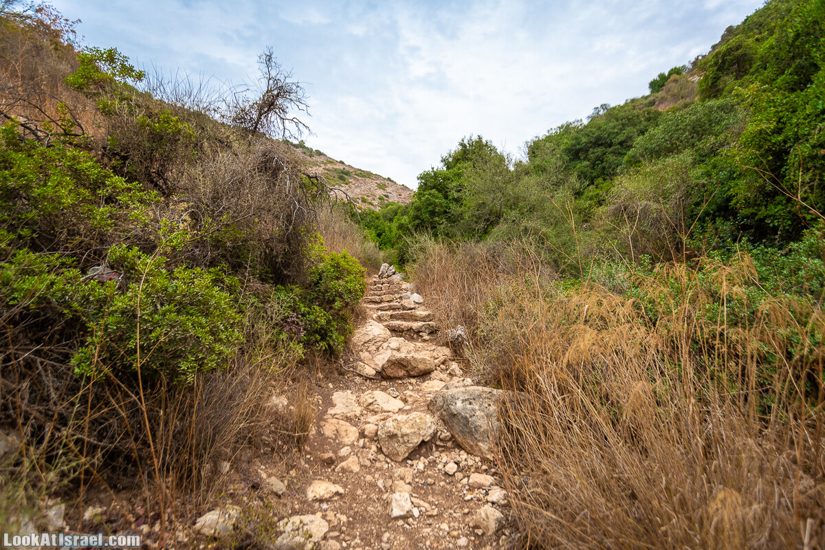 Маршрут по ущельям Метра и Долев. Пещера Теумим (Близнецов ) | Nahal Meara and Dolev, Teumim Cave | נחל מערה ונחל דולב. מערת התאומים | LookAtIsrael.com - Фото путешествия по Израилю