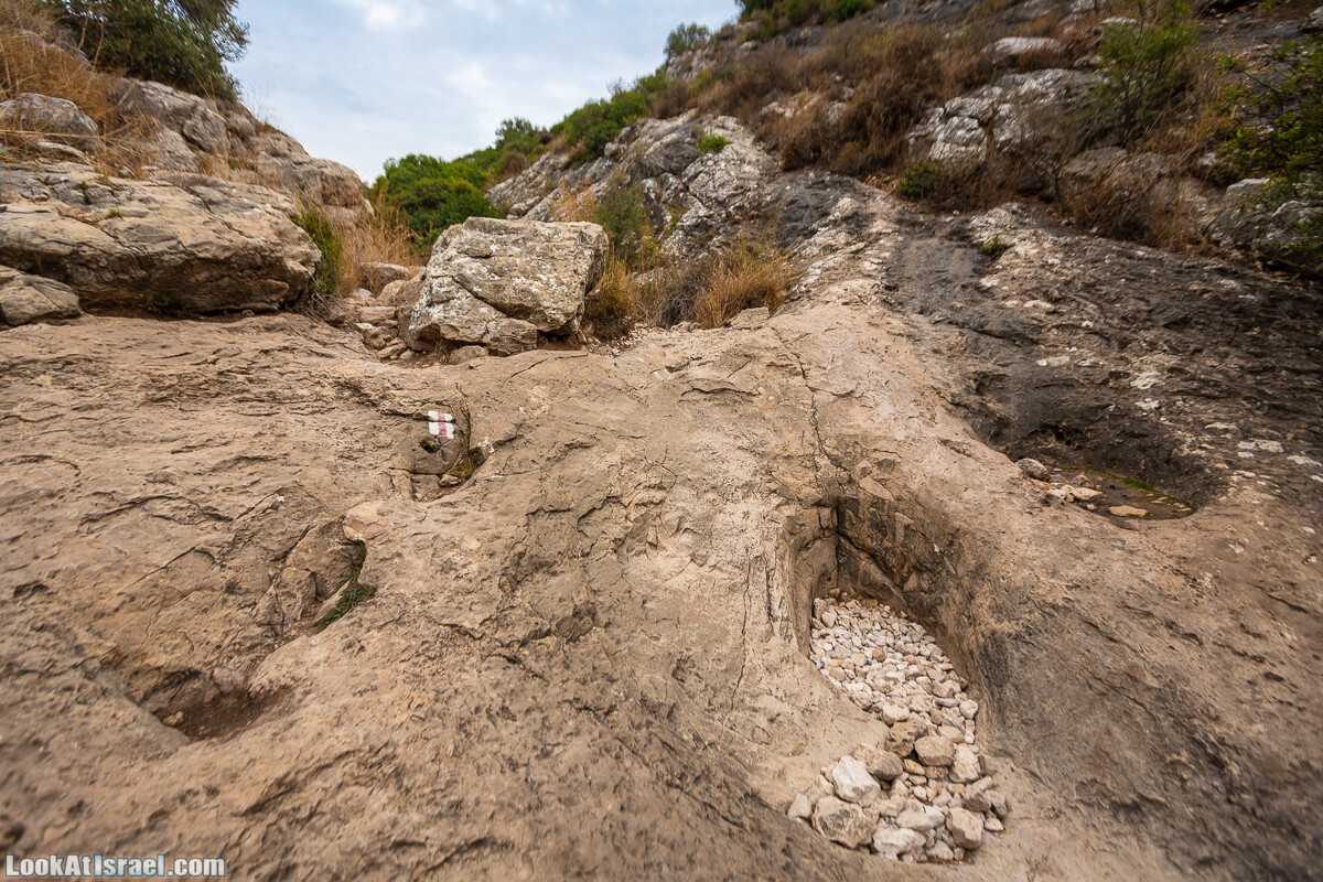 Маршрут по ущельям Метра и Долев. Пещера Теумим (Близнецов ) | Nahal Meara and Dolev, Teumim Cave | נחל מערה ונחל דולב. מערת התאומים | LookAtIsrael.com - Фото путешествия по Израилю