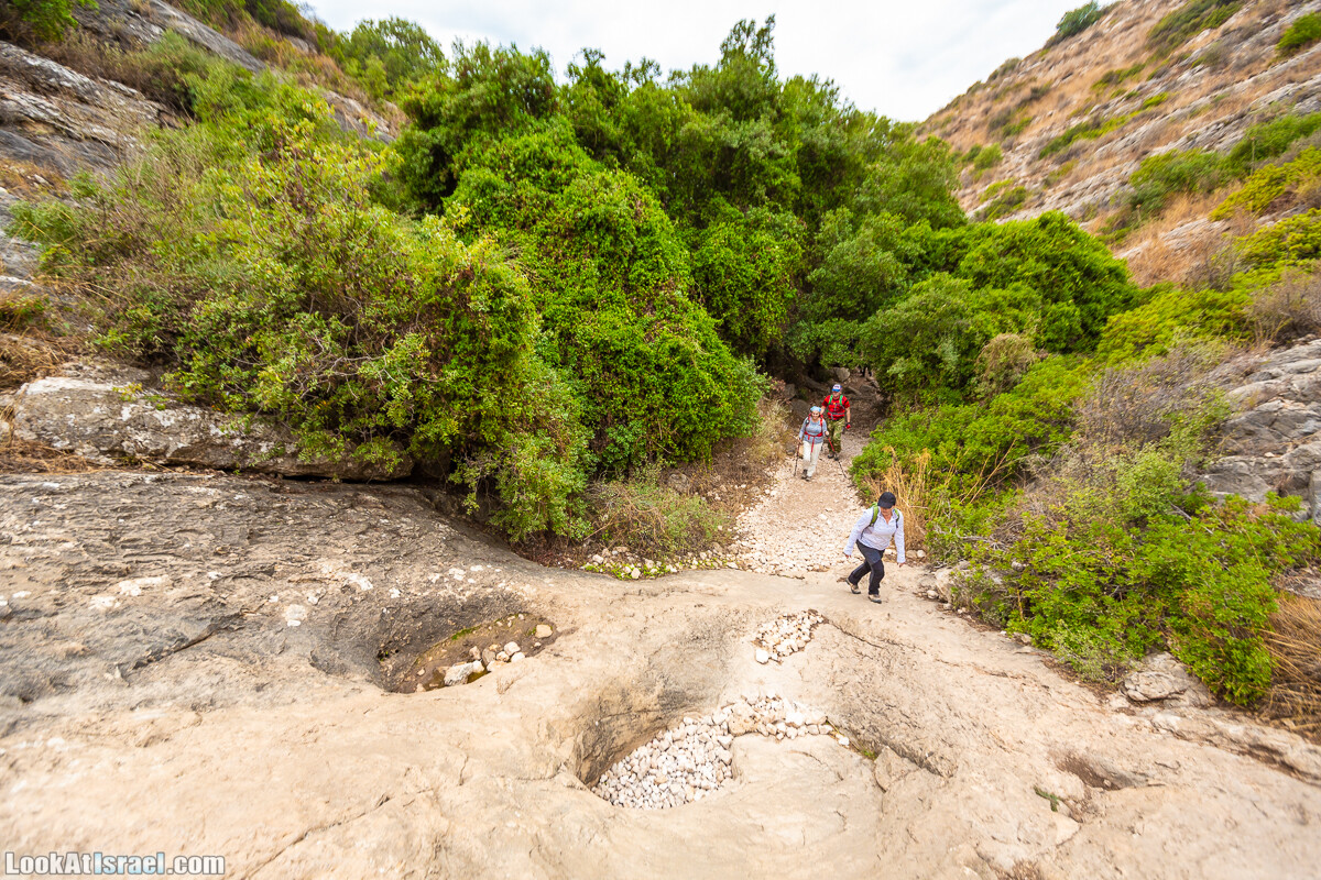 Маршрут по ущельям Метра и Долев. Пещера Теумим (Близнецов ) | Nahal Meara and Dolev, Teumim Cave | נחל מערה ונחל דולב. מערת התאומים | LookAtIsrael.com - Фото путешествия по Израилю