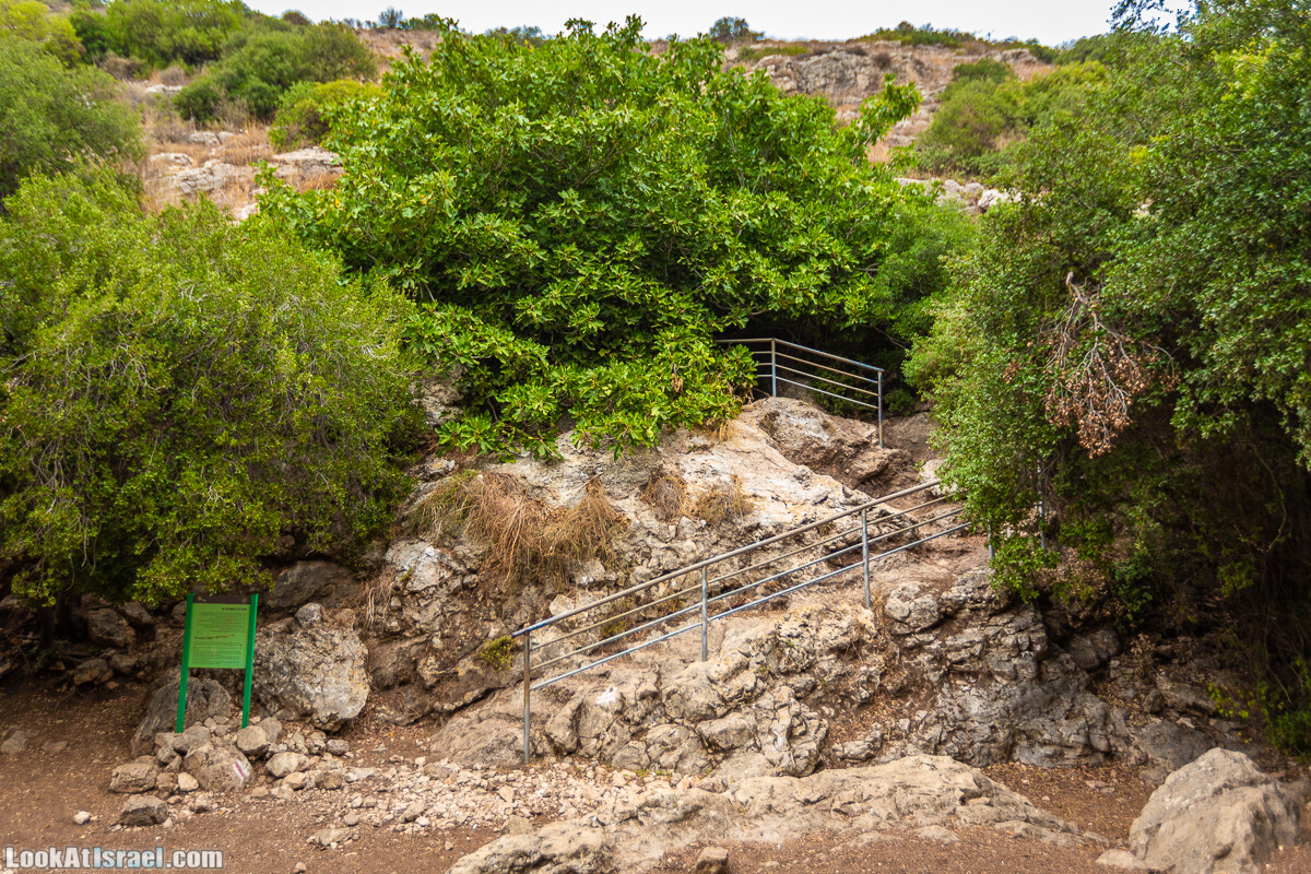Маршрут по ущельям Метра и Долев. Пещера Теумим (Близнецов ) | Nahal Meara and Dolev, Teumim Cave | נחל מערה ונחל דולב. מערת התאומים | LookAtIsrael.com - Фото путешествия по Израилю