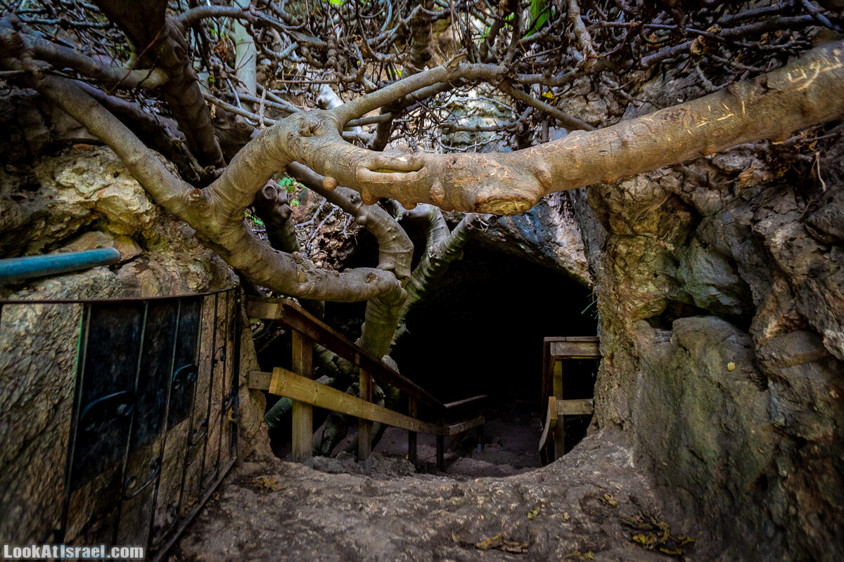 Маршрут по ущельям Метра и Долев. Пещера Теумим (Близнецов ) | Nahal Meara and Dolev, Teumim Cave | נחל מערה ונחל דולב. מערת התאומים | LookAtIsrael.com - Фото путешествия по Израилю