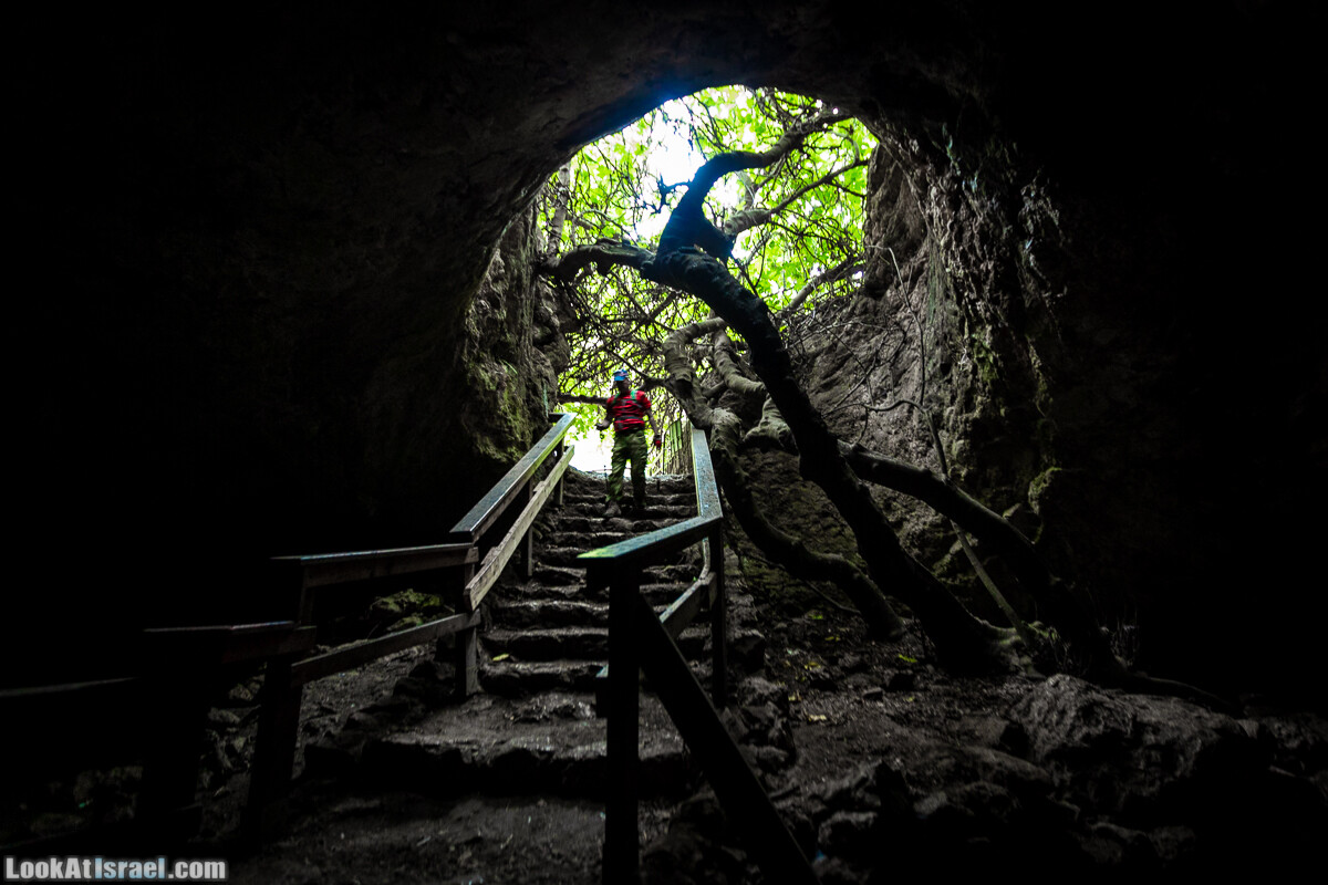 Маршрут по ущельям Метра и Долев. Пещера Теумим (Близнецов ) | Nahal Meara and Dolev, Teumim Cave | נחל מערה ונחל דולב. מערת התאומים | LookAtIsrael.com - Фото путешествия по Израилю