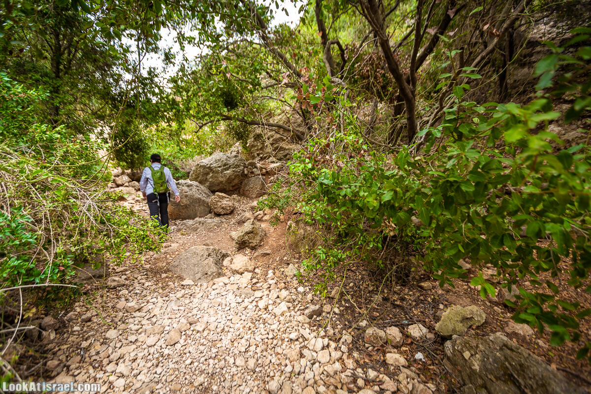 Маршрут по ущельям Метра и Долев. Пещера Теумим (Близнецов ) | Nahal Meara and Dolev, Teumim Cave | נחל מערה ונחל דולב. מערת התאומים | LookAtIsrael.com - Фото путешествия по Израилю
