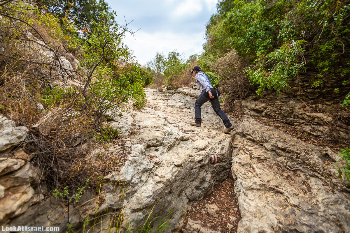 Маршрут по ущельям Метра и Долев. Пещера Теумим (Близнецов ) | Nahal Meara and Dolev, Teumim Cave | נחל מערה ונחל דולב. מערת התאומים | LookAtIsrael.com - Фото путешествия по Израилю