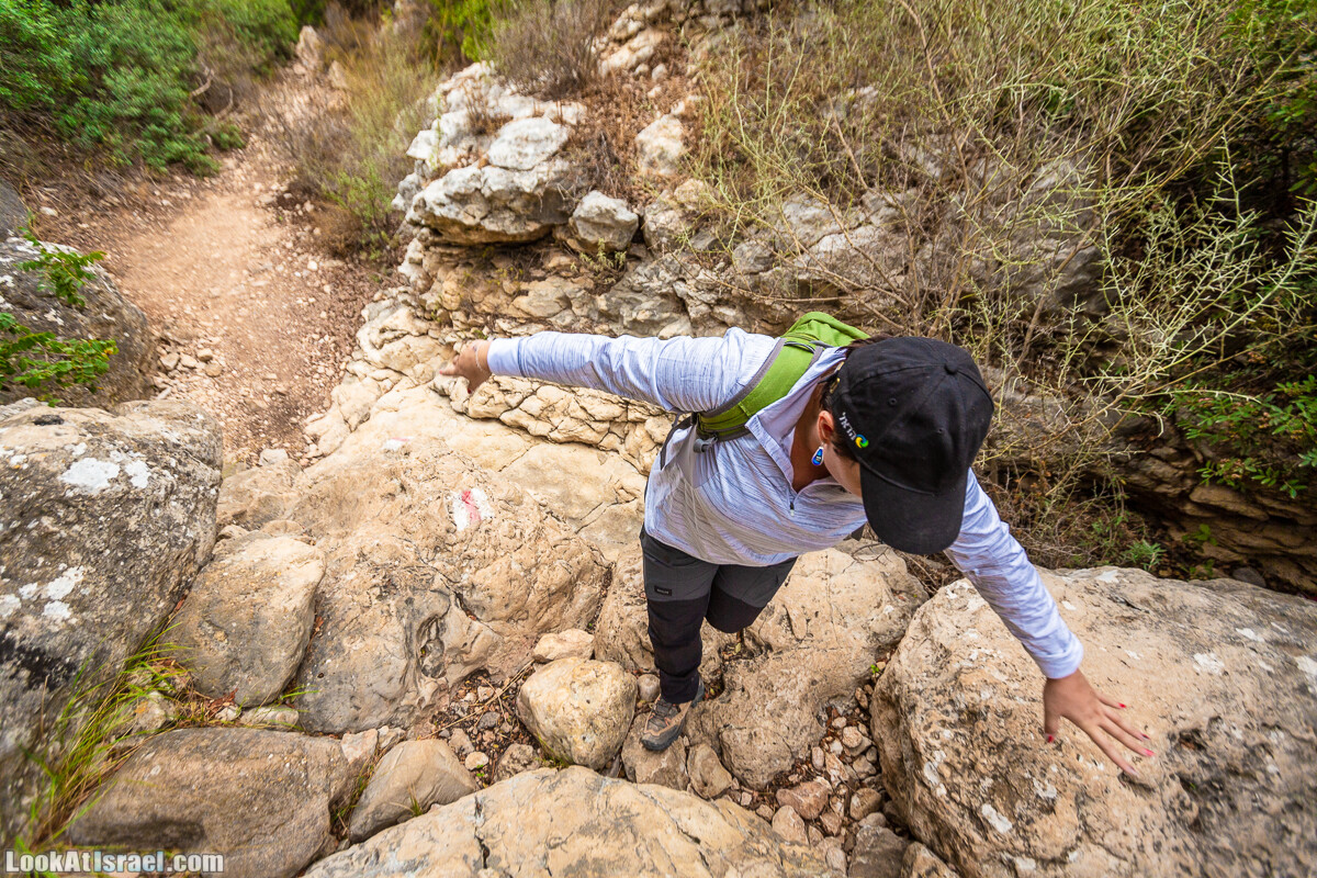 Маршрут по ущельям Метра и Долев. Пещера Теумим (Близнецов ) | Nahal Meara and Dolev, Teumim Cave | נחל מערה ונחל דולב. מערת התאומים | LookAtIsrael.com - Фото путешествия по Израилю