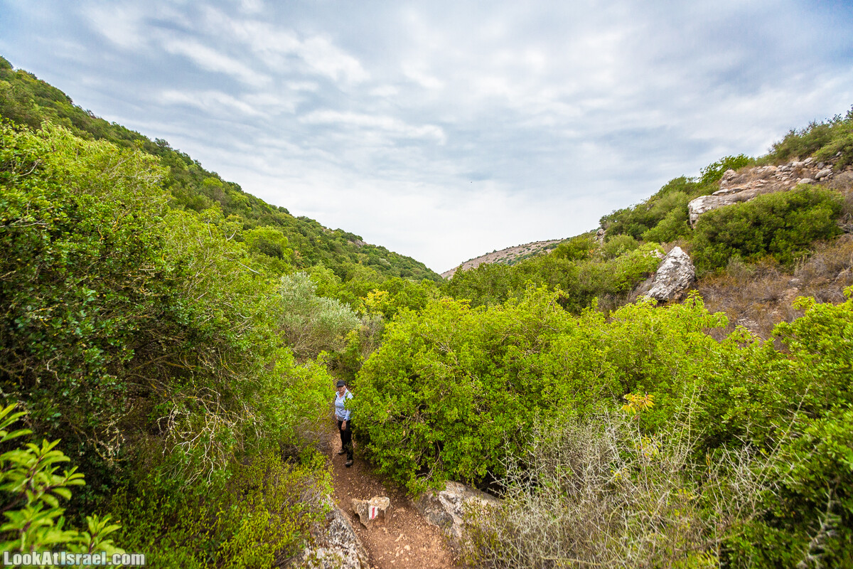 Маршрут по ущельям Метра и Долев. Пещера Теумим (Близнецов ) | Nahal Meara and Dolev, Teumim Cave | נחל מערה ונחל דולב. מערת התאומים | LookAtIsrael.com - Фото путешествия по Израилю