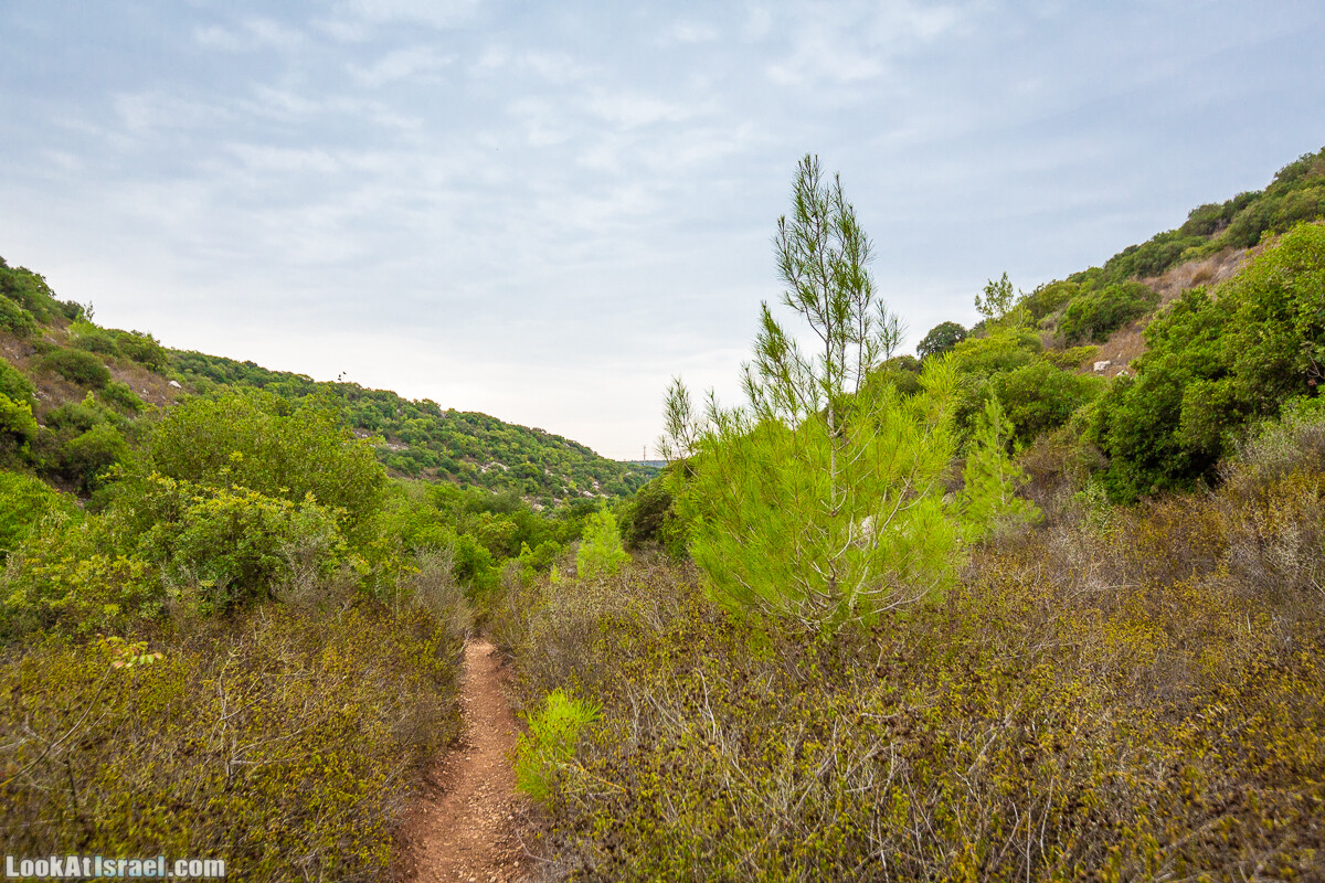 Маршрут по ущельям Метра и Долев. Пещера Теумим (Близнецов ) | Nahal Meara and Dolev, Teumim Cave | נחל מערה ונחל דולב. מערת התאומים | LookAtIsrael.com - Фото путешествия по Израилю