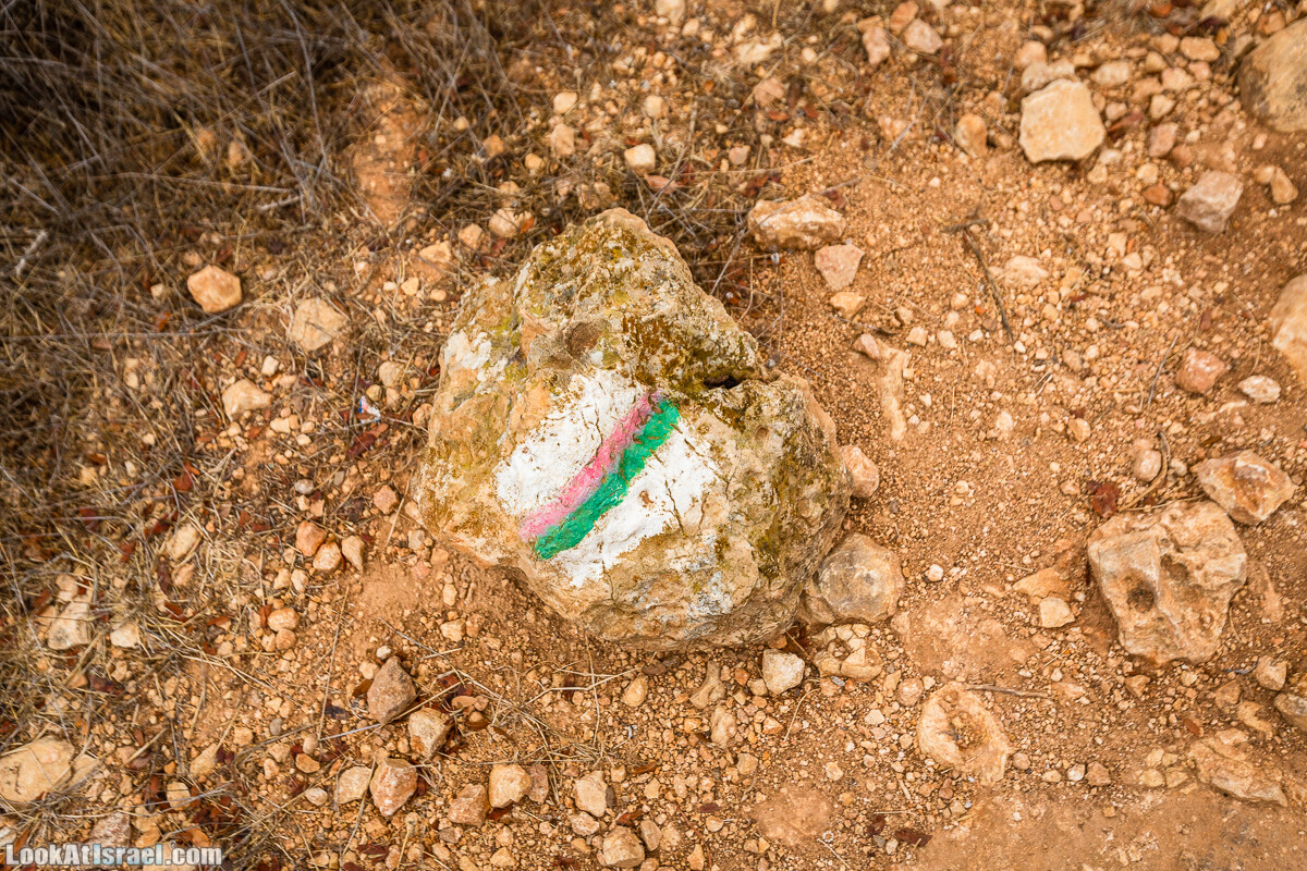 Маршрут по ущельям Метра и Долев. Пещера Теумим (Близнецов ) | Nahal Meara and Dolev, Teumim Cave | נחל מערה ונחל דולב. מערת התאומים | LookAtIsrael.com - Фото путешествия по Израилю