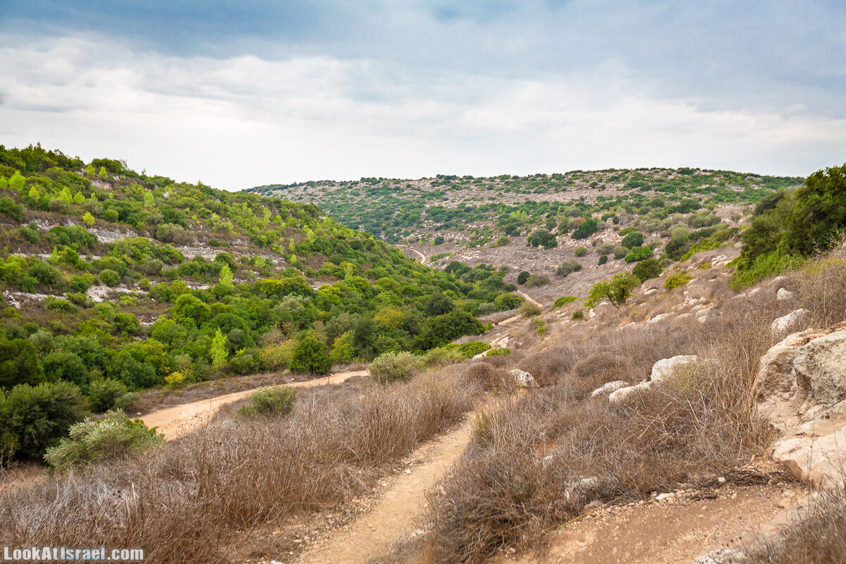 Маршрут по ущельям Метра и Долев. Пещера Теумим (Близнецов ) | Nahal Meara and Dolev, Teumim Cave | נחל מערה ונחל דולב. מערת התאומים | LookAtIsrael.com - Фото путешествия по Израилю