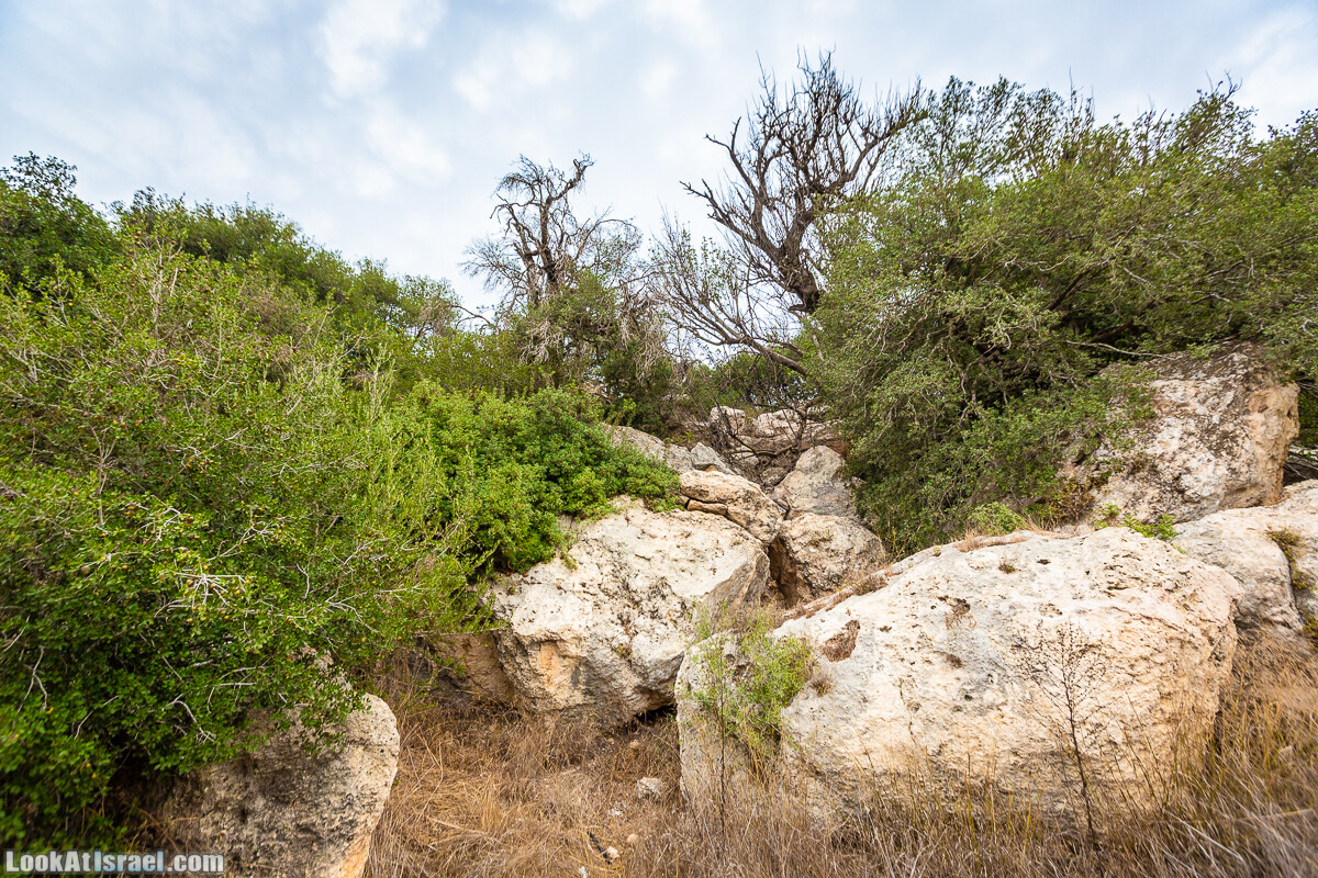 Маршрут по ущельям Метра и Долев. Пещера Теумим (Близнецов ) | Nahal Meara and Dolev, Teumim Cave | נחל מערה ונחל דולב. מערת התאומים | LookAtIsrael.com - Фото путешествия по Израилю