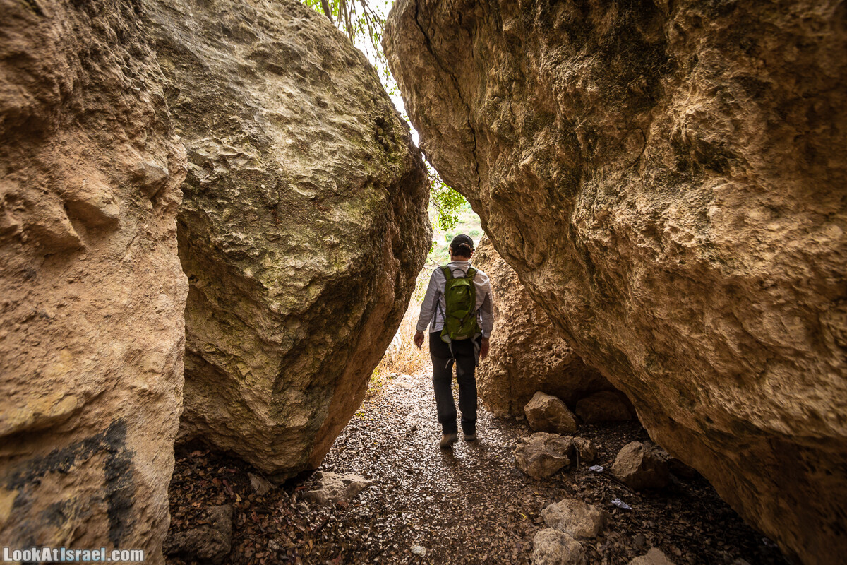 Маршрут по ущельям Метра и Долев. Пещера Теумим (Близнецов ) | Nahal Meara and Dolev, Teumim Cave | נחל מערה ונחל דולב. מערת התאומים | LookAtIsrael.com - Фото путешествия по Израилю