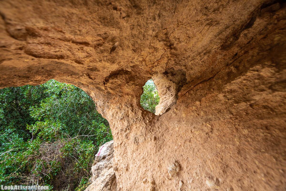 Маршрут по ущельям Метра и Долев. Пещера Теумим (Близнецов ) | Nahal Meara and Dolev, Teumim Cave | נחל מערה ונחל דולב. מערת התאומים | LookAtIsrael.com - Фото путешествия по Израилю