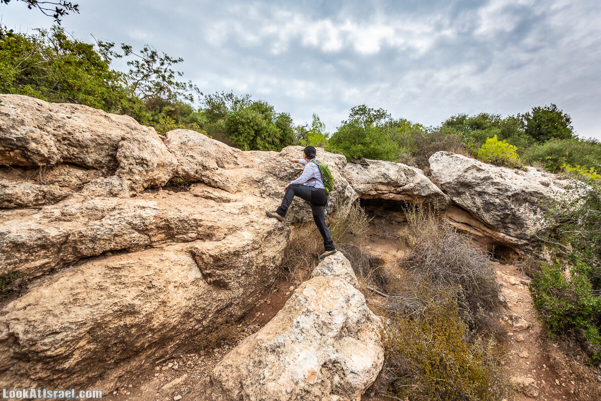 Маршрут по ущельям Метра и Долев. Пещера Теумим (Близнецов ) | Nahal Meara and Dolev, Teumim Cave | נחל מערה ונחל דולב. מערת התאומים | LookAtIsrael.com - Фото путешествия по Израилю