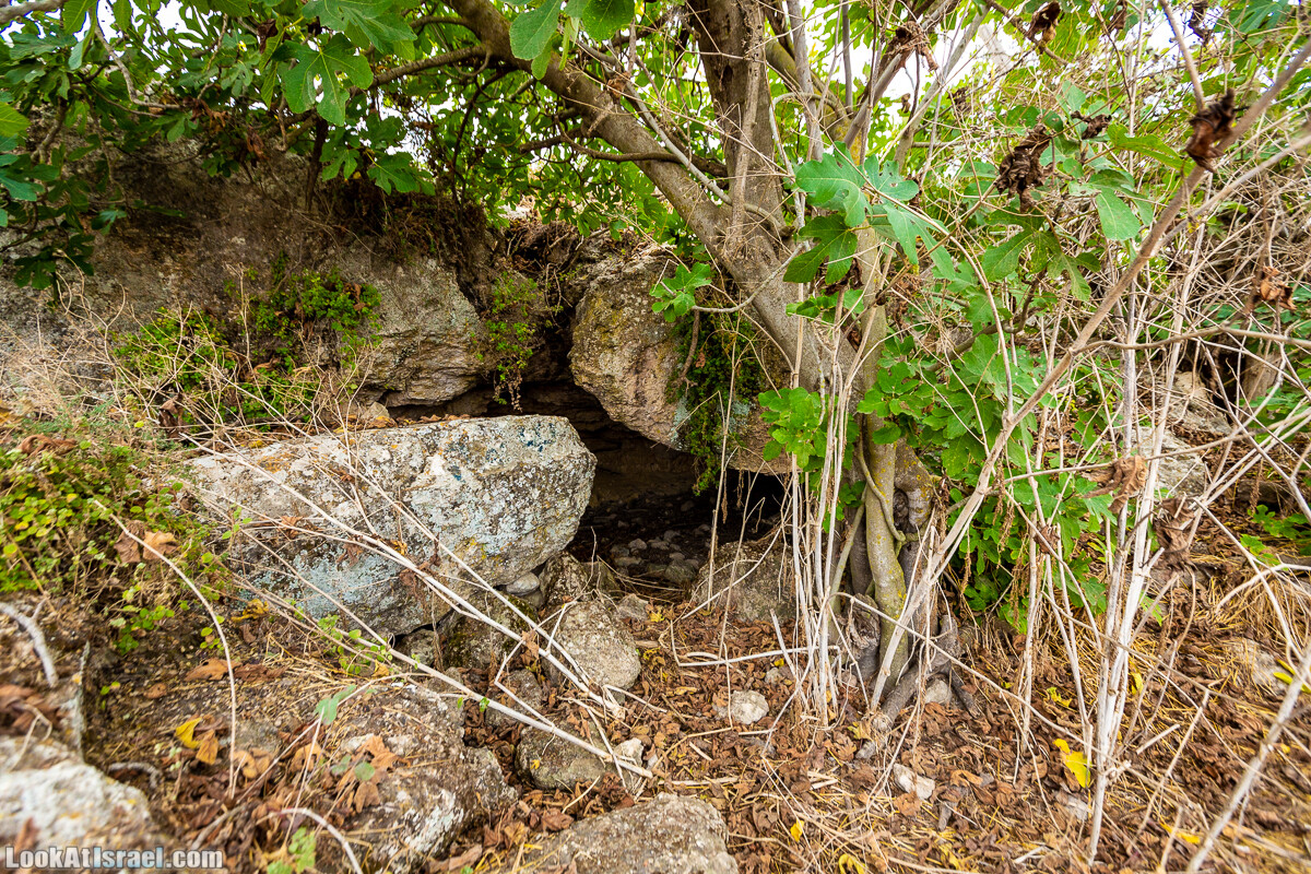 Маршрут по ущельям Метра и Долев. Пещера Теумим (Близнецов ) | Nahal Meara and Dolev, Teumim Cave | נחל מערה ונחל דולב. מערת התאומים | LookAtIsrael.com - Фото путешествия по Израилю