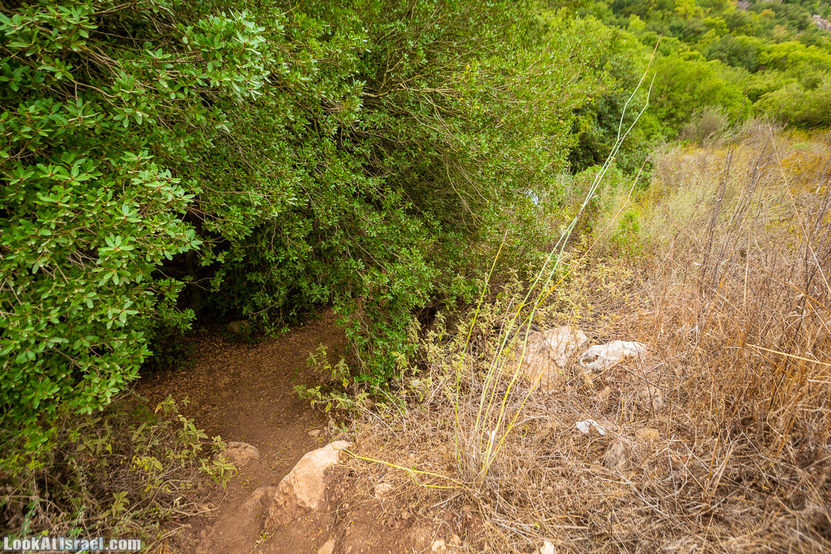 Маршрут по ущельям Метра и Долев. Пещера Теумим (Близнецов ) | Nahal Meara and Dolev, Teumim Cave | נחל מערה ונחל דולב. מערת התאומים | LookAtIsrael.com - Фото путешествия по Израилю