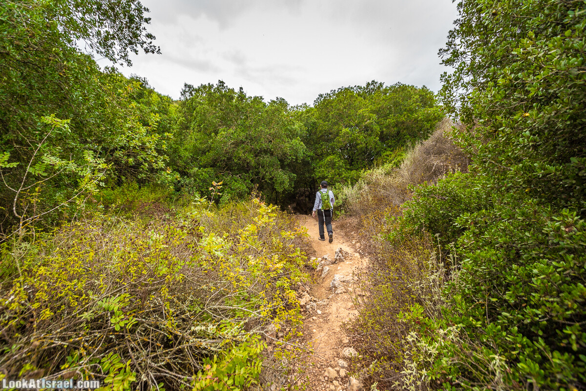 Маршрут по ущельям Метра и Долев. Пещера Теумим (Близнецов ) | Nahal Meara and Dolev, Teumim Cave | נחל מערה ונחל דולב. מערת התאומים | LookAtIsrael.com - Фото путешествия по Израилю