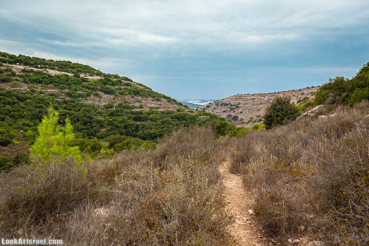 Маршрут по ущельям Метра и Долев. Пещера Теумим (Близнецов ) | Nahal Meara and Dolev, Teumim Cave | נחל מערה ונחל דולב. מערת התאומים | LookAtIsrael.com - Фото путешествия по Израилю