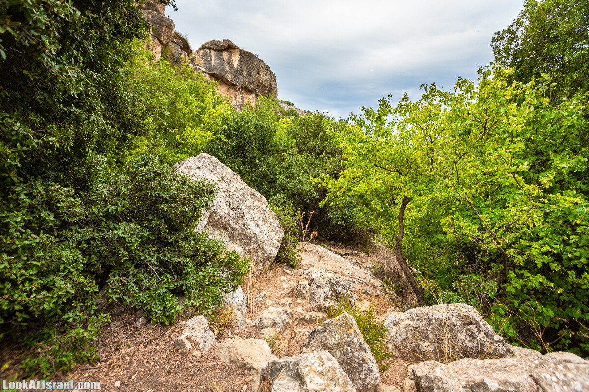 Маршрут по ущельям Метра и Долев. Пещера Теумим (Близнецов ) | Nahal Meara and Dolev, Teumim Cave | נחל מערה ונחל דולב. מערת התאומים | LookAtIsrael.com - Фото путешествия по Израилю