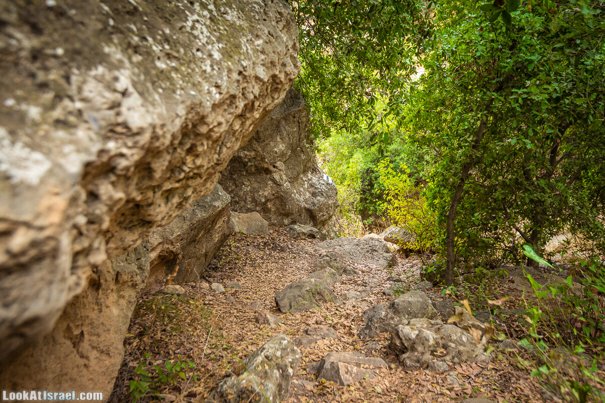 Маршрут по ущельям Метра и Долев. Пещера Теумим (Близнецов ) | Nahal Meara and Dolev, Teumim Cave | נחל מערה ונחל דולב. מערת התאומים | LookAtIsrael.com - Фото путешествия по Израилю