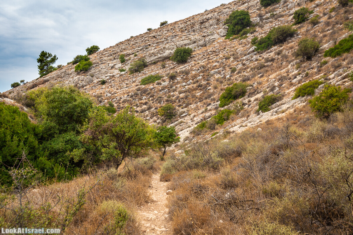 Маршрут по ущельям Метра и Долев. Пещера Теумим (Близнецов ) | Nahal Meara and Dolev, Teumim Cave | נחל מערה ונחל דולב. מערת התאומים | LookAtIsrael.com - Фото путешествия по Израилю