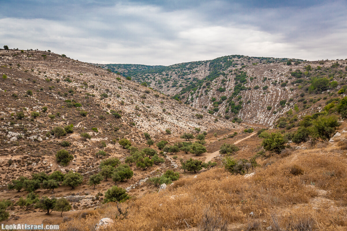 Маршрут по ущельям Метра и Долев. Пещера Теумим (Близнецов ) | Nahal Meara and Dolev, Teumim Cave | נחל מערה ונחל דולב. מערת התאומים | LookAtIsrael.com - Фото путешествия по Израилю