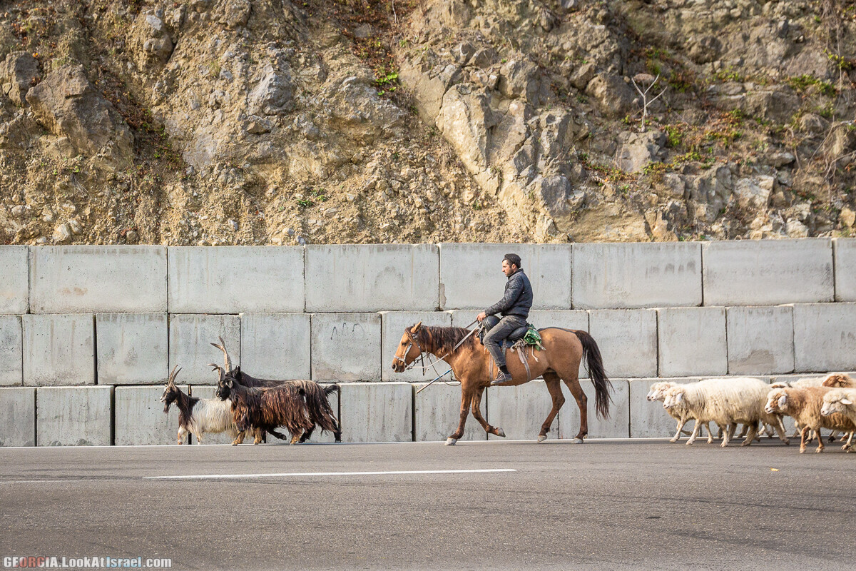 Путешествие на джипе по Грузии. Ущелья Хада, Трусо и Казбеги | LookAtIsrael.com - Фото путешествия по Израилю