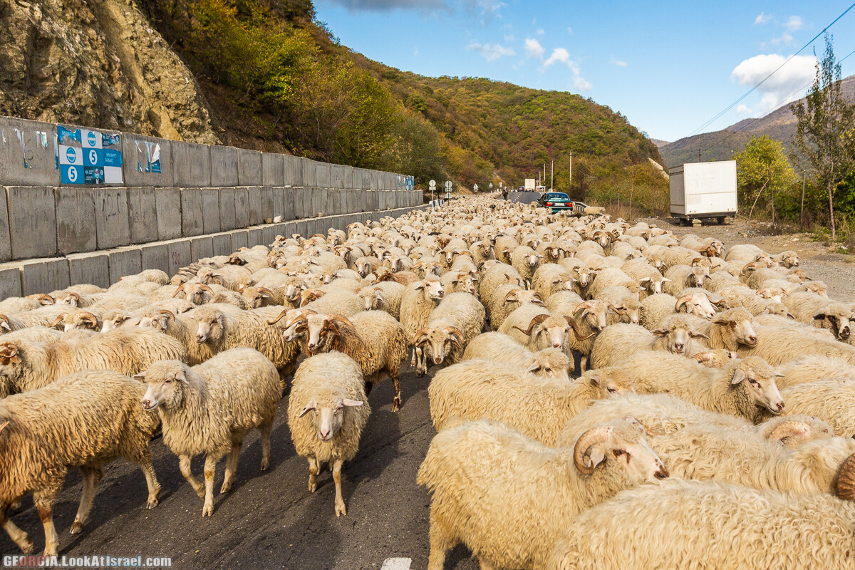 Путешествие на джипе по Грузии. Ущелья Хада, Трусо и Казбеги | LookAtIsrael.com - Фото путешествия по Израилю