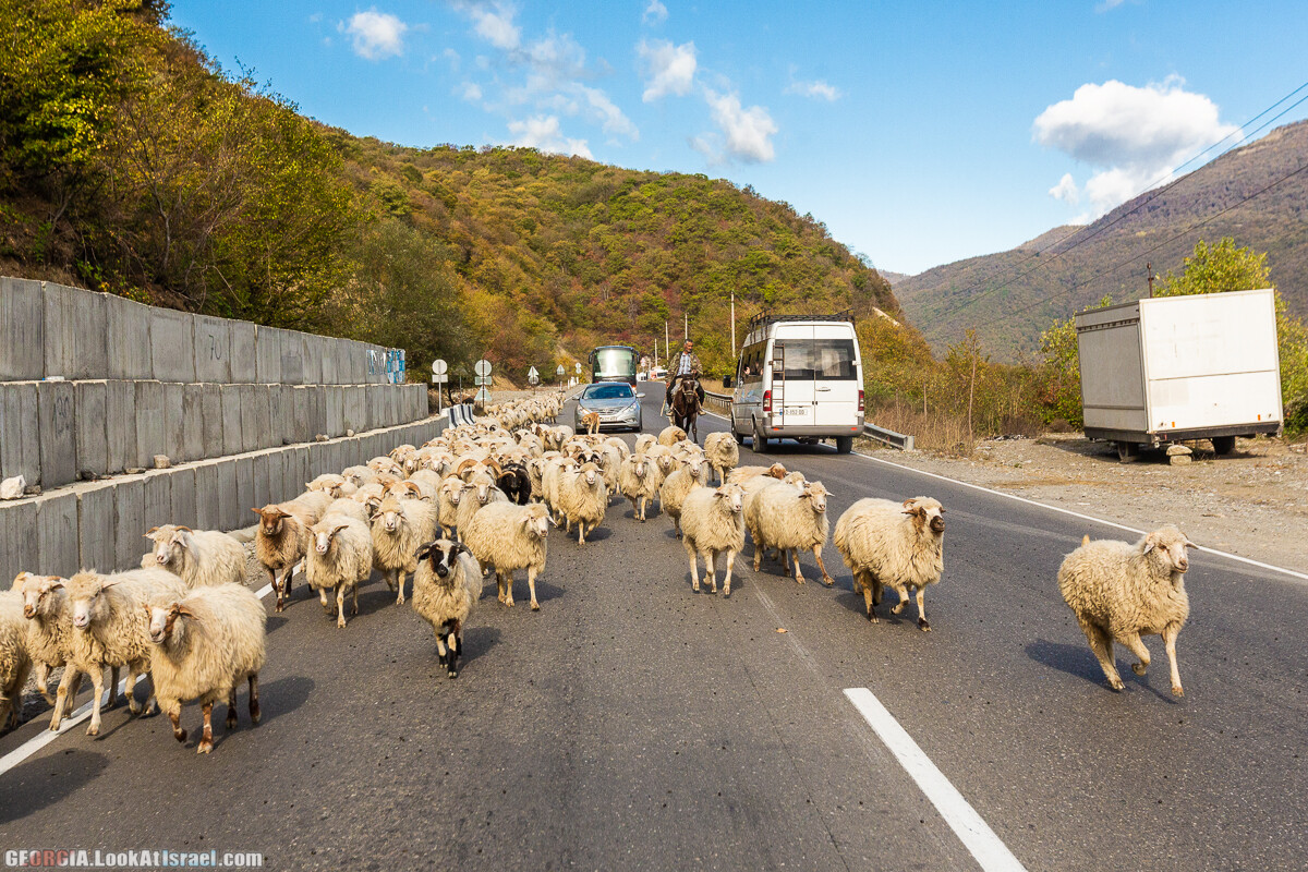 Путешествие на джипе по Грузии. Ущелья Хада, Трусо и Казбеги | LookAtIsrael.com - Фото путешествия по Израилю