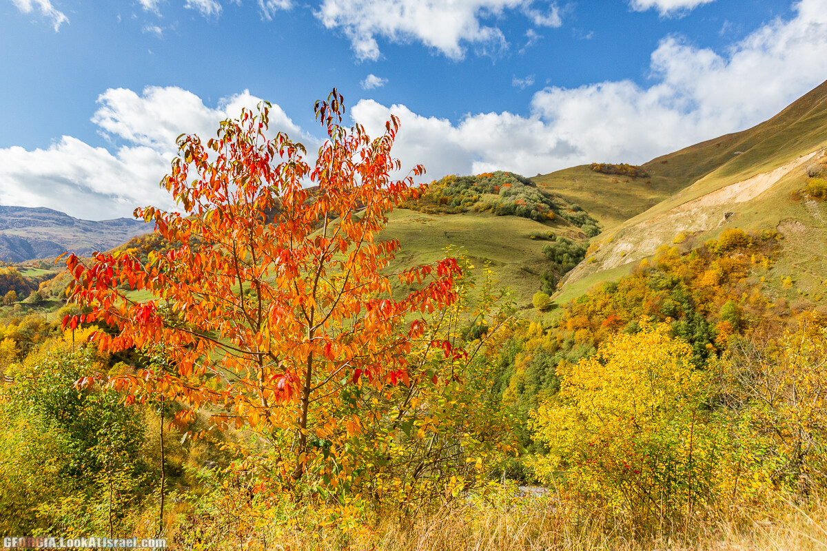 Путешествие на джипе по Грузии. Ущелья Хада, Трусо и Казбеги | LookAtIsrael.com - Фото путешествия по Израилю