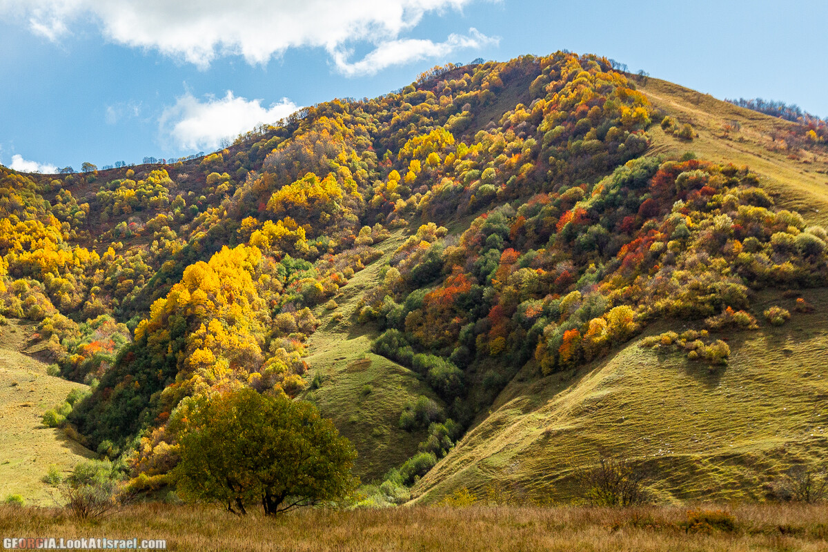 Путешествие на джипе по Грузии. Ущелья Хада, Трусо и Казбеги | LookAtIsrael.com - Фото путешествия по Израилю