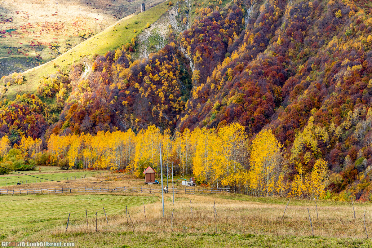 Путешествие на джипе по Грузии. Ущелья Хада, Трусо и Казбеги | LookAtIsrael.com - Фото путешествия по Израилю