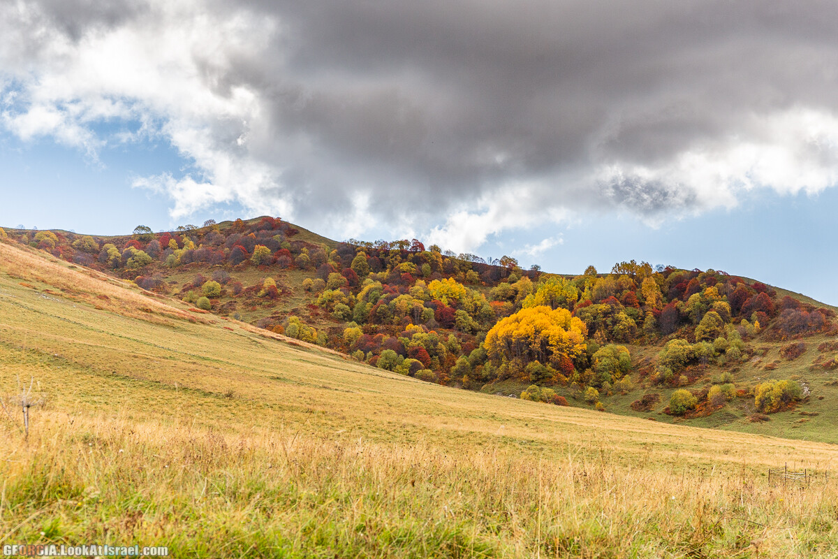 Путешествие на джипе по Грузии. Ущелья Хада, Трусо и Казбеги | LookAtIsrael.com - Фото путешествия по Израилю