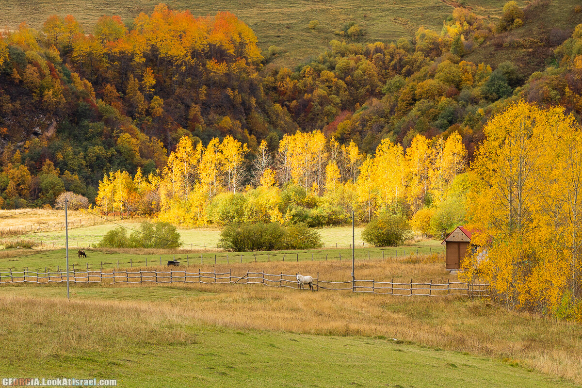 Путешествие на джипе по Грузии. Ущелья Хада, Трусо и Казбеги | LookAtIsrael.com - Фото путешествия по Израилю