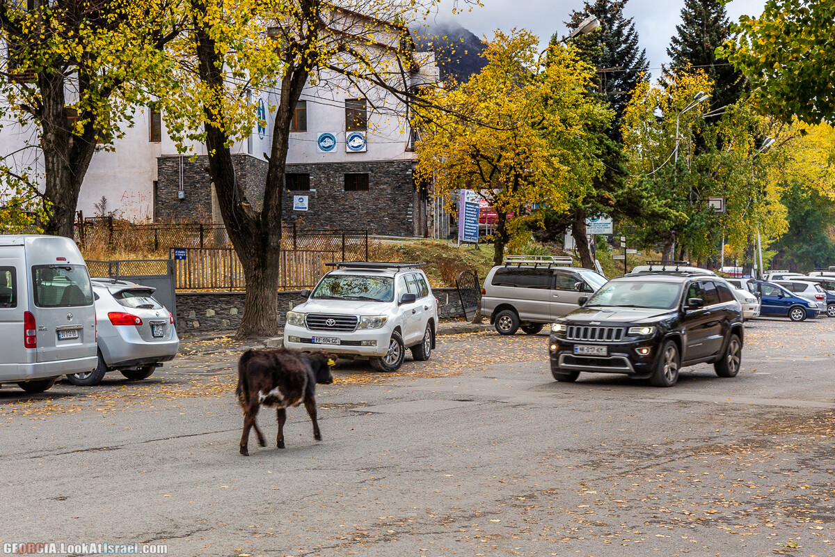 Путешествие на джипе по Грузии. Ущелья Хада, Трусо и Казбеги | LookAtIsrael.com - Фото путешествия по Израилю