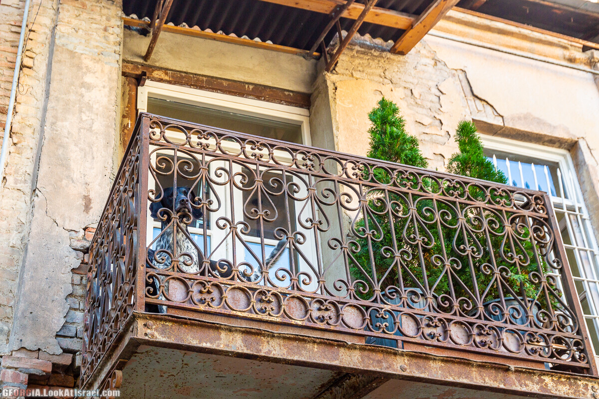 Прогулки по Тбилиси. Что посмотреть за 3-4 дня | LookAtIsrael.com - Фото путешествия по Израилю