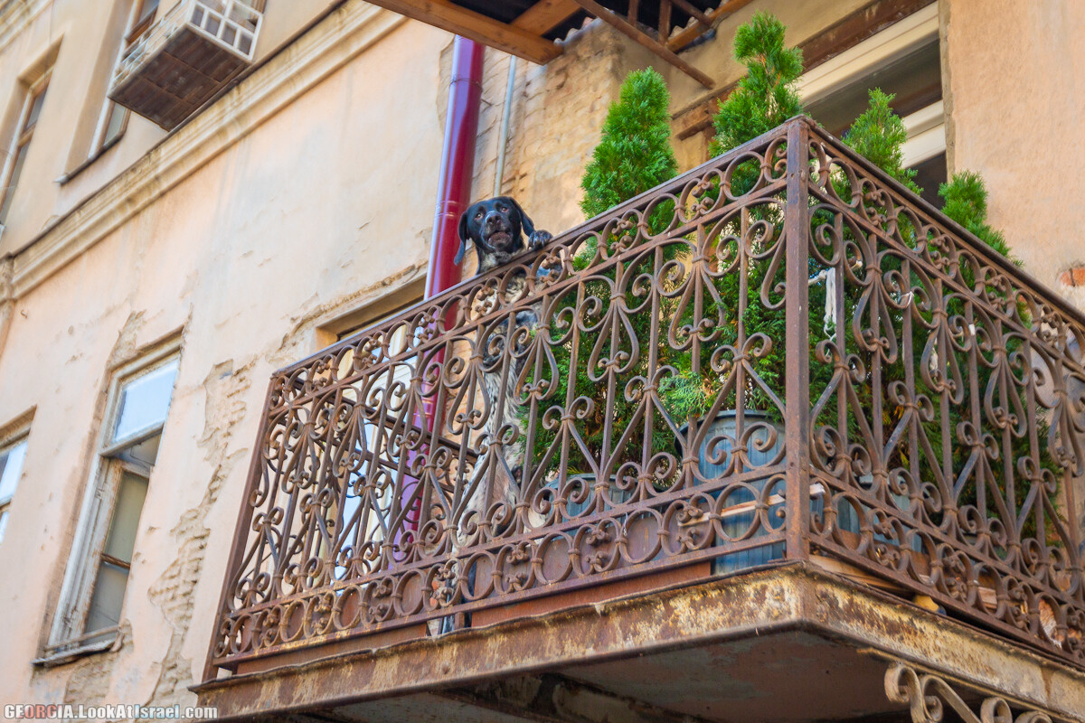 Прогулки по Тбилиси. Что посмотреть за 3-4 дня | LookAtIsrael.com - Фото путешествия по Израилю