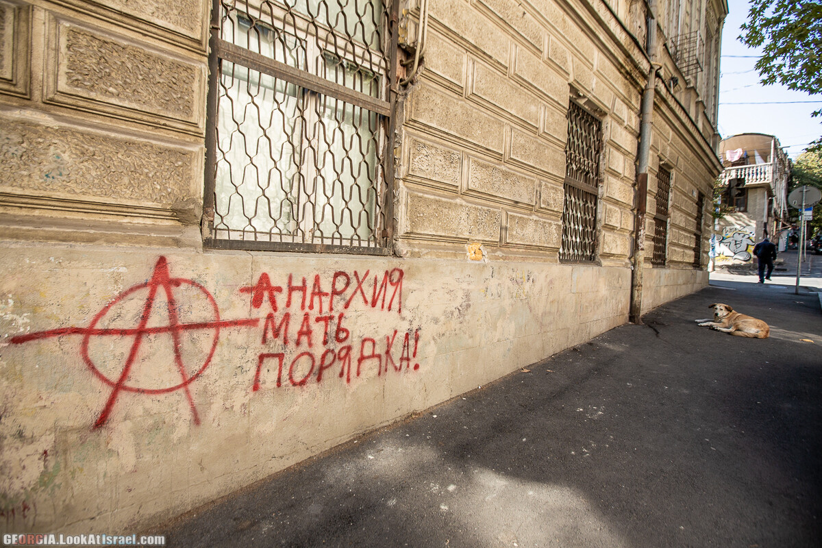 Тбилиси - город собак | LookAtIsrael.com - Фото путешествия по Израилю