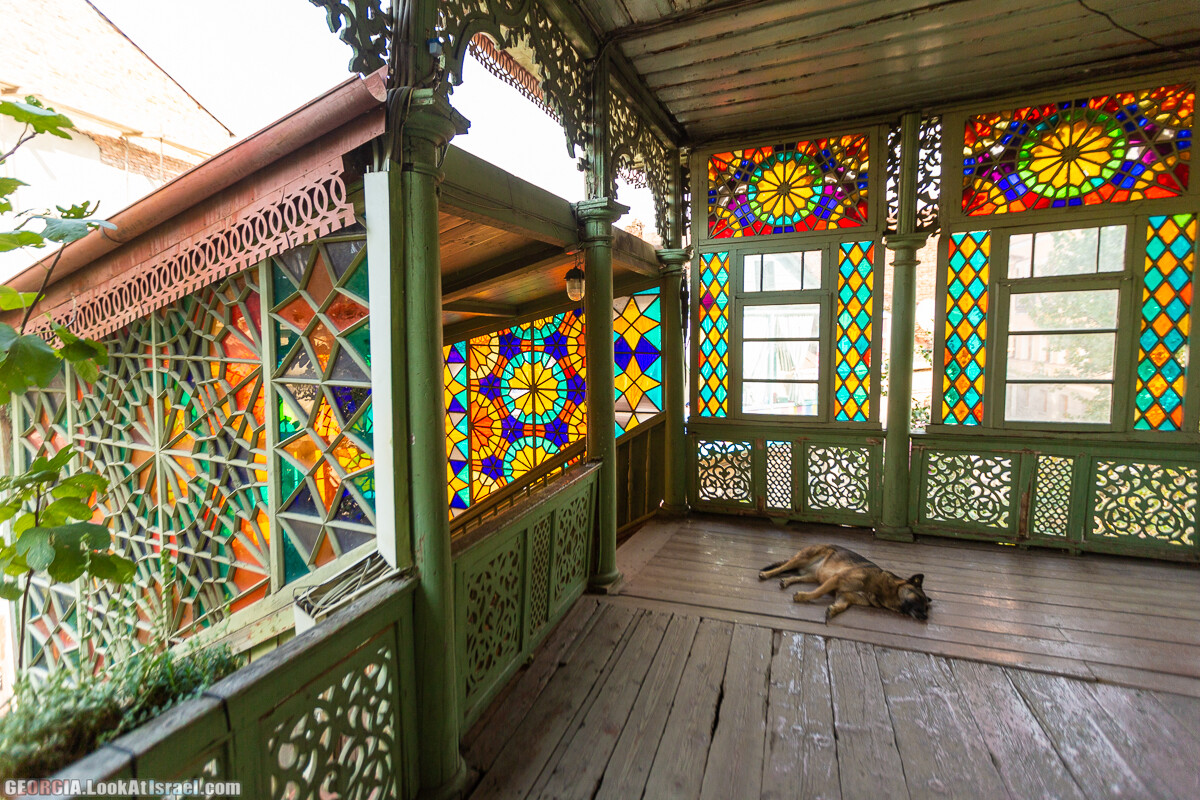 Тбилиси - город собак | LookAtIsrael.com - Фото путешествия по Израилю