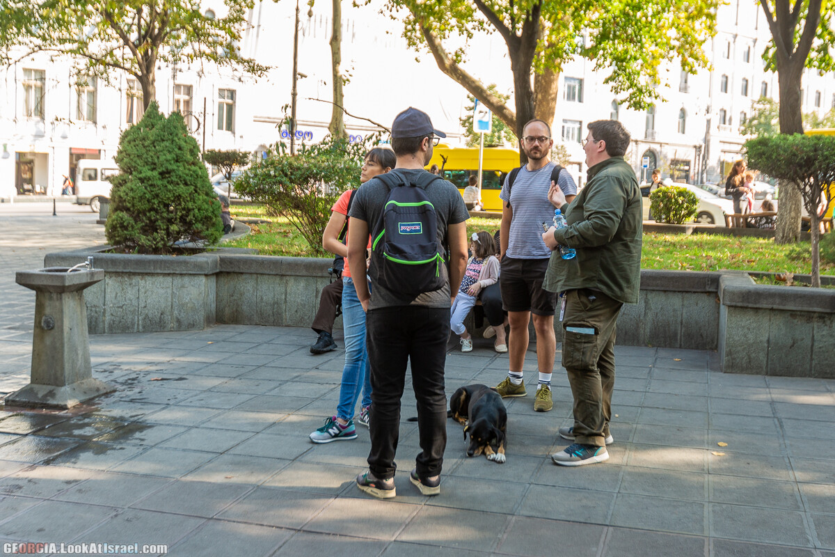 Тбилиси - город собак | LookAtIsrael.com - Фото путешествия по Израилю