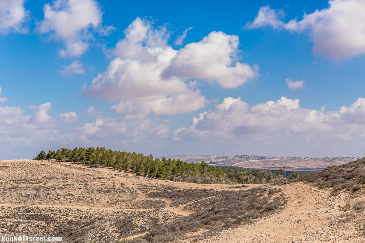 По холмам судьбы и долинам пустыни | גבעות גורל | LookAtIsrael.com - Фото путешествия по Израилю
