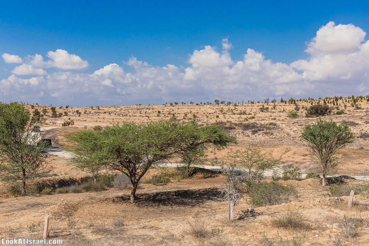 По холмам судьбы и долинам пустыни | גבעות גורל | LookAtIsrael.com - Фото путешествия по Израилю