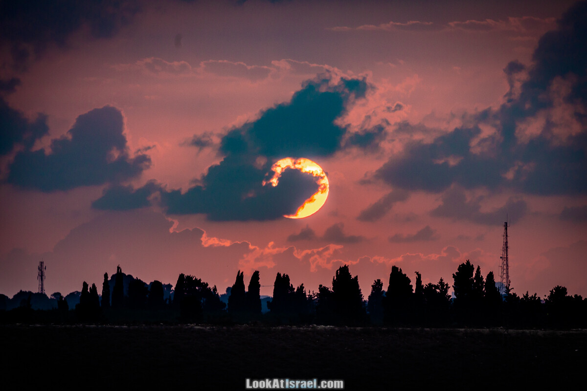 Станция наблюдения Викар за пеликанами на озере в долине Хефер | Vikar birds watching | מצפור ויקר | LookAtIsrael.com - Фото путешествия по Израилю