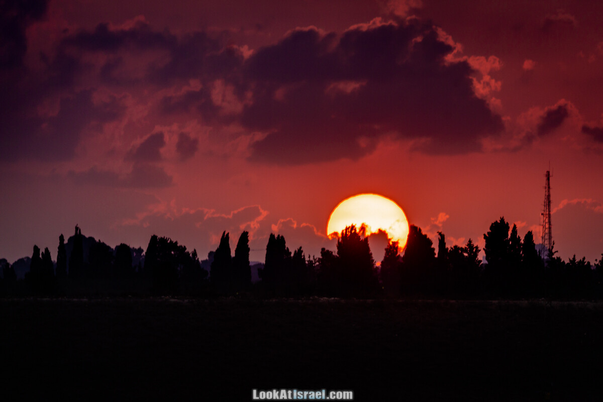 Станция наблюдения Викар за пеликанами на озере в долине Хефер | Vikar birds watching | מצפור ויקר | LookAtIsrael.com - Фото путешествия по Израилю
