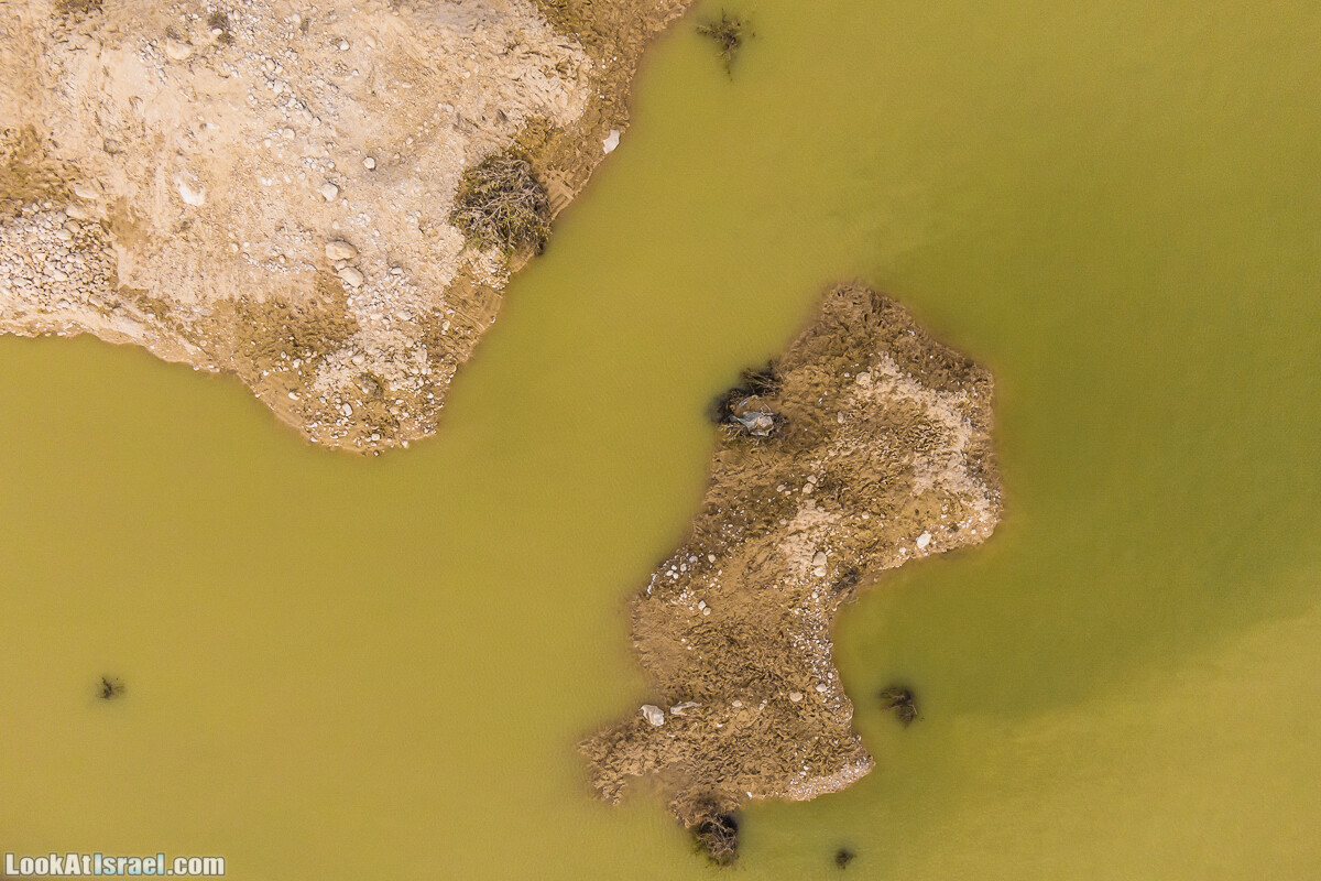 Редкое сезонное озеро в Ницане | LookAtIsrael.com - Фото путешествия по Израилю