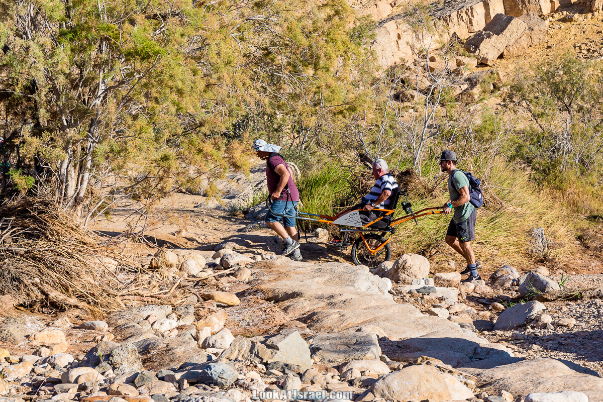 Приключения для всех - Амута Этгарим |עמותת אתגרים | ספורט אתגרי העצמה ושילוב חברתי של אנשים מיוחדים | LookAtIsrael.com - Фото путешествия по Израилю