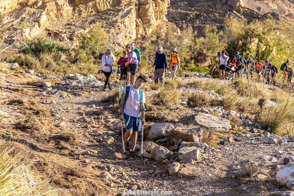 Приключения для всех - Амута Этгарим |עמותת אתגרים | ספורט אתגרי העצמה ושילוב חברתי של אנשים מיוחדים | LookAtIsrael.com - Фото путешествия по Израилю