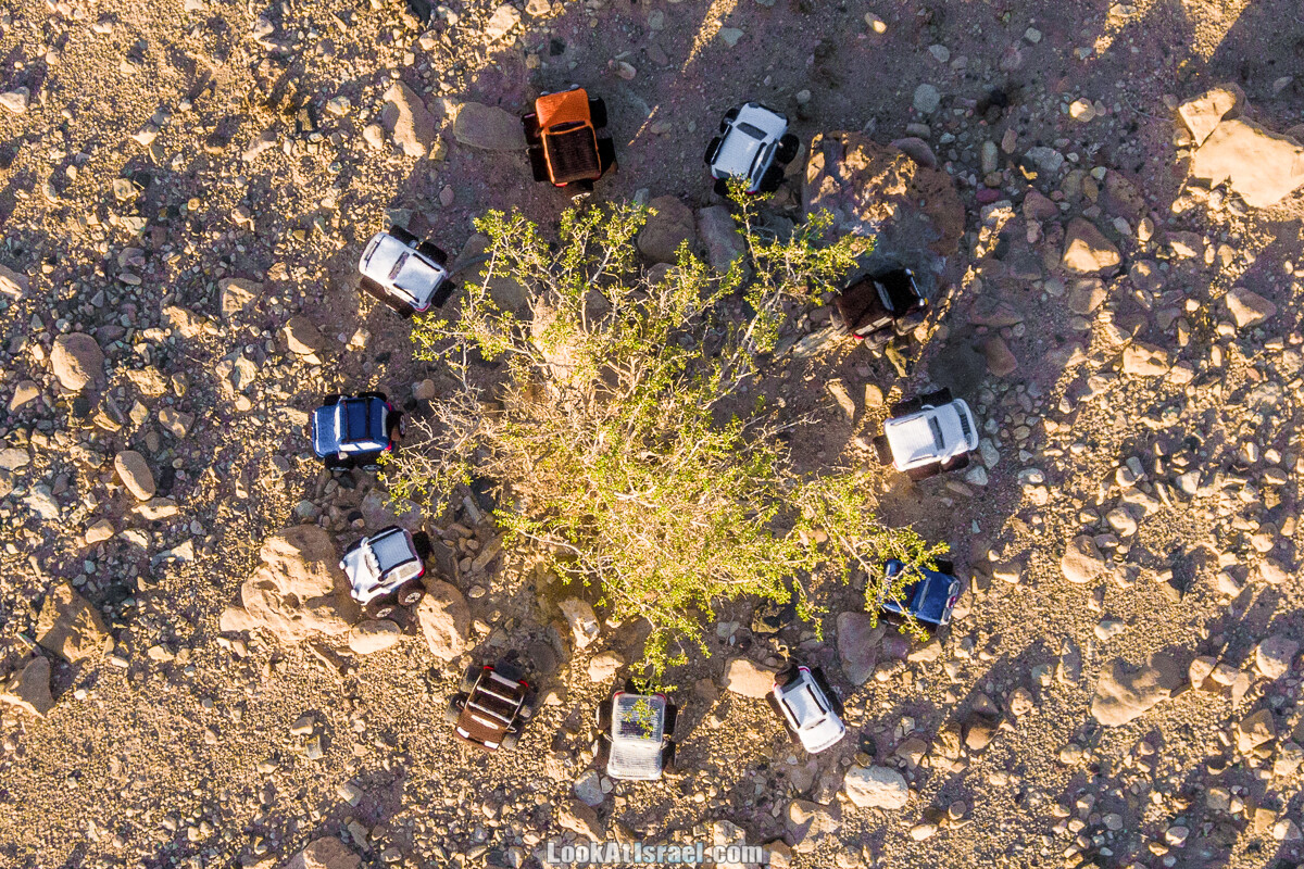 Игрушечные вязаные внедорожники | LookAtIsrael.com - Фото путешествия по Израилю