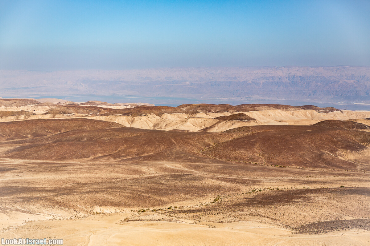 К Мертвому морю и обратно через пустыню и Маале Яир | LookAtIsrael.com - Фото путешествия по Израилю