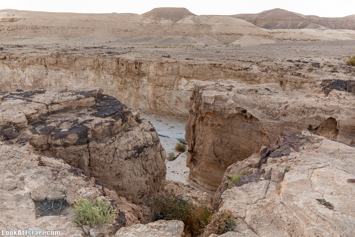 К Мертвому морю и обратно через пустыню и Маале Яир | LookAtIsrael.com - Фото путешествия по Израилю