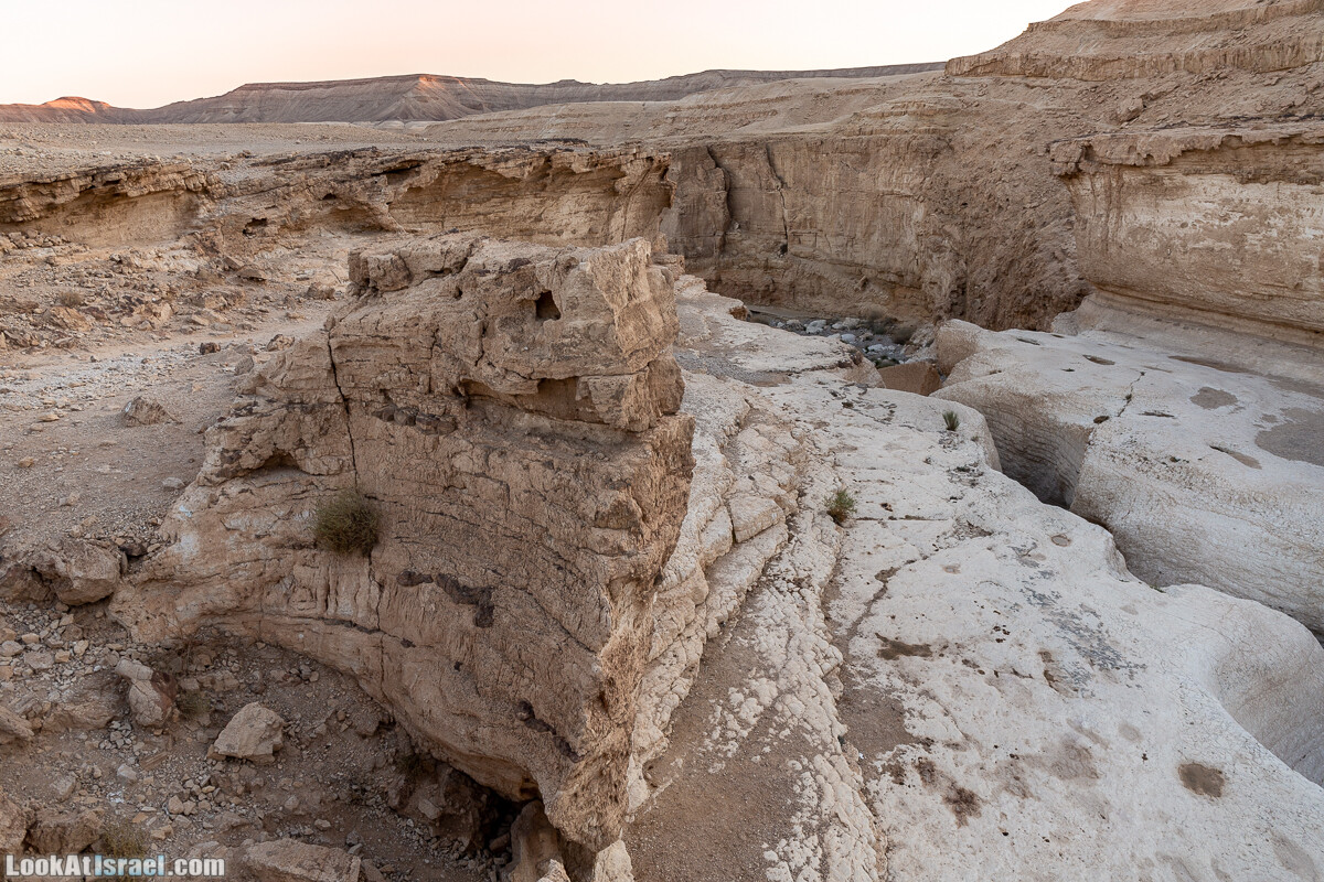 К Мертвому морю и обратно через пустыню и Маале Яир | LookAtIsrael.com - Фото путешествия по Израилю